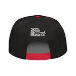Snapback Hat